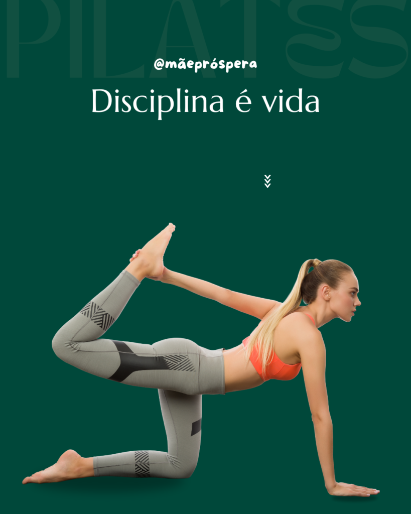 O Papel da Disciplina na Prática de Economia